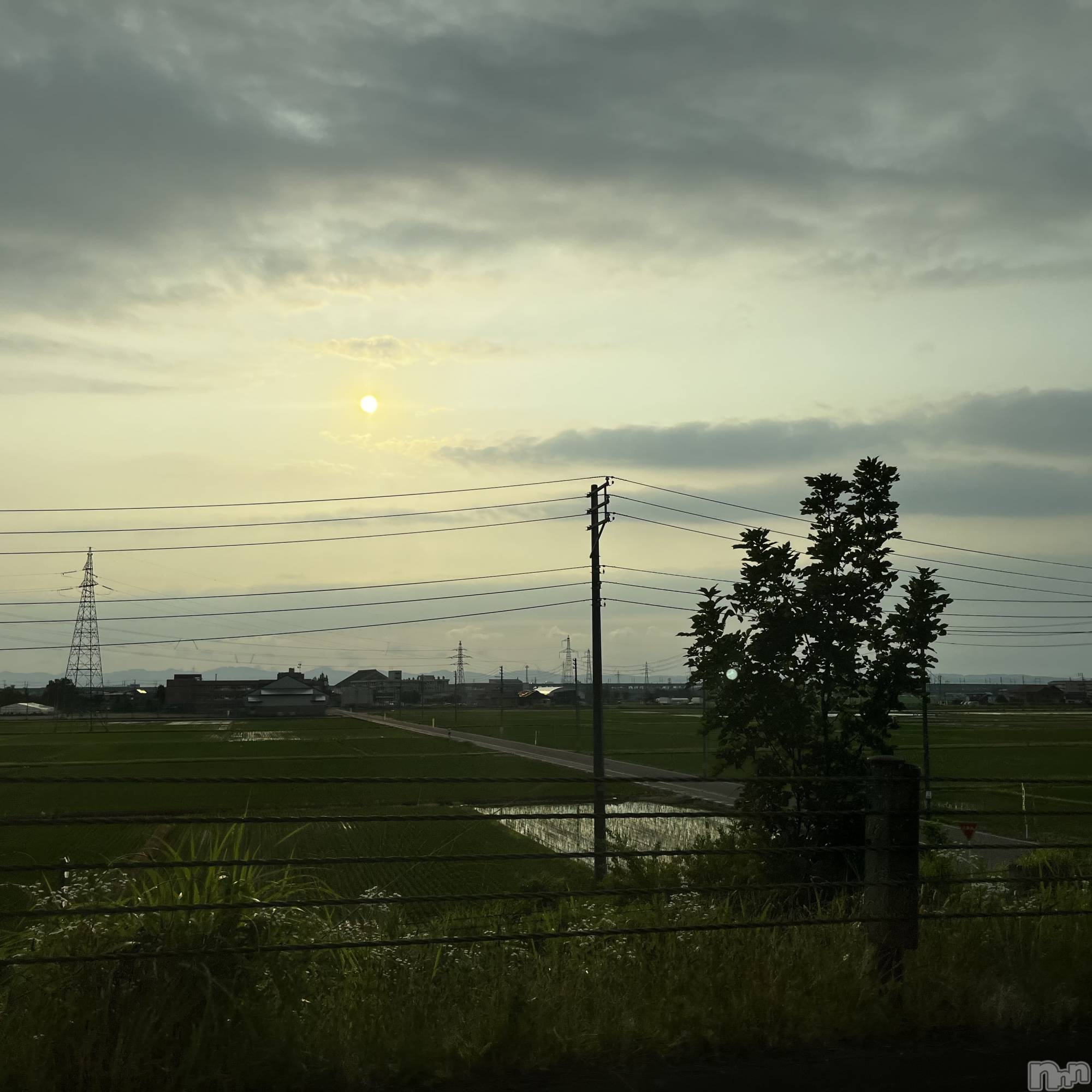 長岡風俗エステ長岡風俗出張アロママッサージ(ナガオカフウゾクシュッチョウアロママッサージ)ゆかり☆ピュアな美熟女(48)の2022年6月19日写メブログ「ありがとうございます♪」