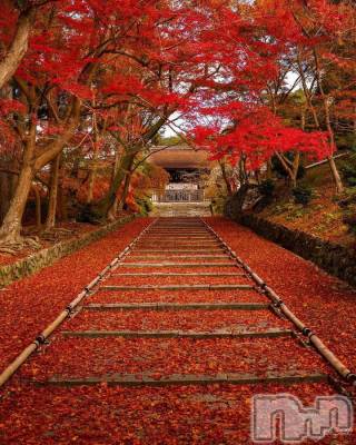 長岡デリヘル 長岡風俗出張アロママッサージ(ナガオカフウゾクシュッチョウアロママッサージ) ゆかり☆ピュアな美熟女(48)の10月29日写メブログ「お疲れ様はこちらへ♪」