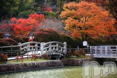 長岡デリヘル 長岡風俗出張アロママッサージ(ナガオカフウゾクシュッチョウアロママッサージ) ゆかり☆ピュアな美熟女(48)の10月12日写メブログ「好きなことは、♪」