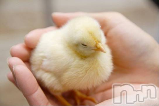 長岡デリヘル長岡風俗出張アロママッサージ(ナガオカフウゾクシュッチョウアロママッサージ) ルイ☆ハーフ美人(33)の2月1日写メブログ「本日もよろしくお願いします！」