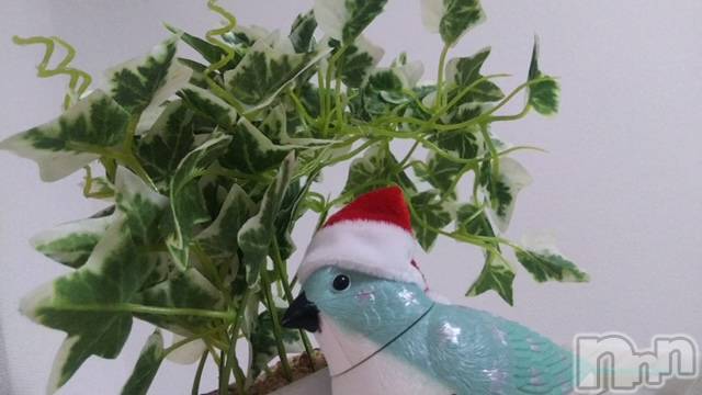 長岡デリヘル長岡風俗出張アロママッサージ(ナガオカフウゾクシュッチョウアロママッサージ) ルイ☆ハーフ美人(33)の2月6日写メブログ「マッサージ日和♪」