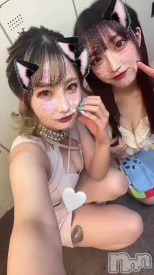 🐈‍⬛