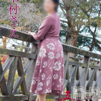木村さえ
