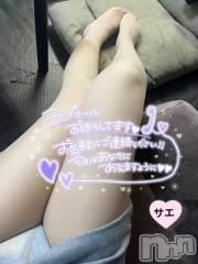 三条デリヘルLady-出稼ぎ0！地域密着デリヘル-(レディー) さえ★超人気お姉さん(35)の3月5日写メブログ「かまってください♡♡♡」