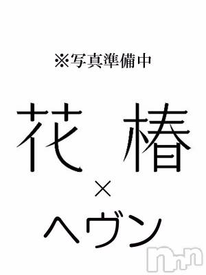 ひかる(37) 身長152cm、スリーサイズB85(E).W62.H86。上越風俗エステ 地元嬢と遊べる上越初のハイブリッドエステ花椿×ヘヴン(ジモトジョウトアソベルジョウエツハツノハイブリッドエステハナツバキ×ヘヴン)在籍。