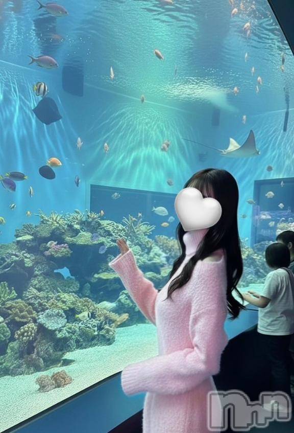 新潟デリヘルGRACE　新潟(グレース　ニイガタ) 久保(28)の2月22日写メブログ「水族館デート🐬💫」