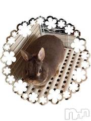 新潟デリヘルGRACE　新潟(グレース　ニイガタ) 久保(28)の8月18日写メブログ「御報告」