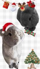 新潟デリヘルGRACE　新潟(グレース　ニイガタ) 久保(28)の12月23日写メブログ「少し早いですが🥲」