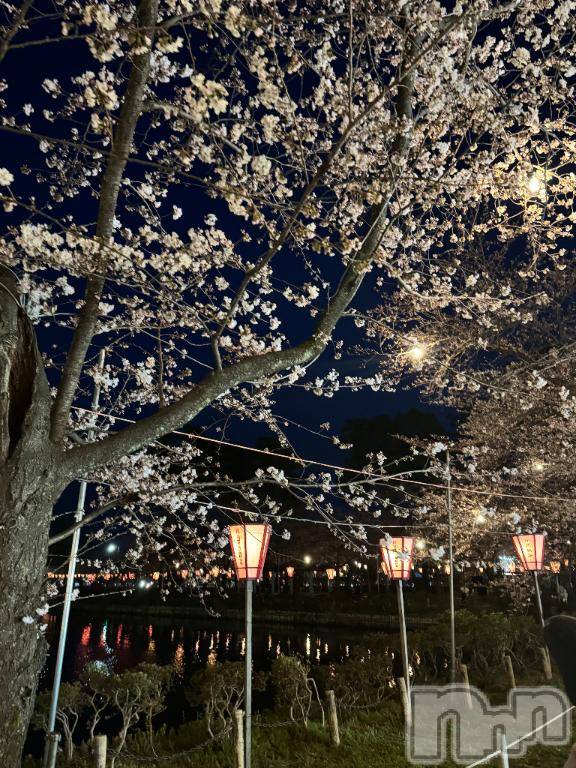 新潟デリヘル五十路マダム新潟店(カサブランカグループ)(イソジマダムニイガタテン) 市川ちなつ(52)の4月9日写メブログ「申し訳ございません」