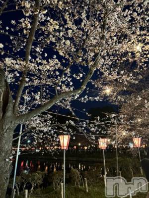 新潟デリヘル 五十路マダム新潟店(カサブランカグループ)(イソジマダムニイガタテン) 市川ちなつ(52)の4月9日写メブログ「申し訳ございません」