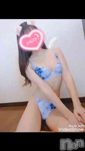 ねずこの動画 🐬 たまには動画でもどーですか！