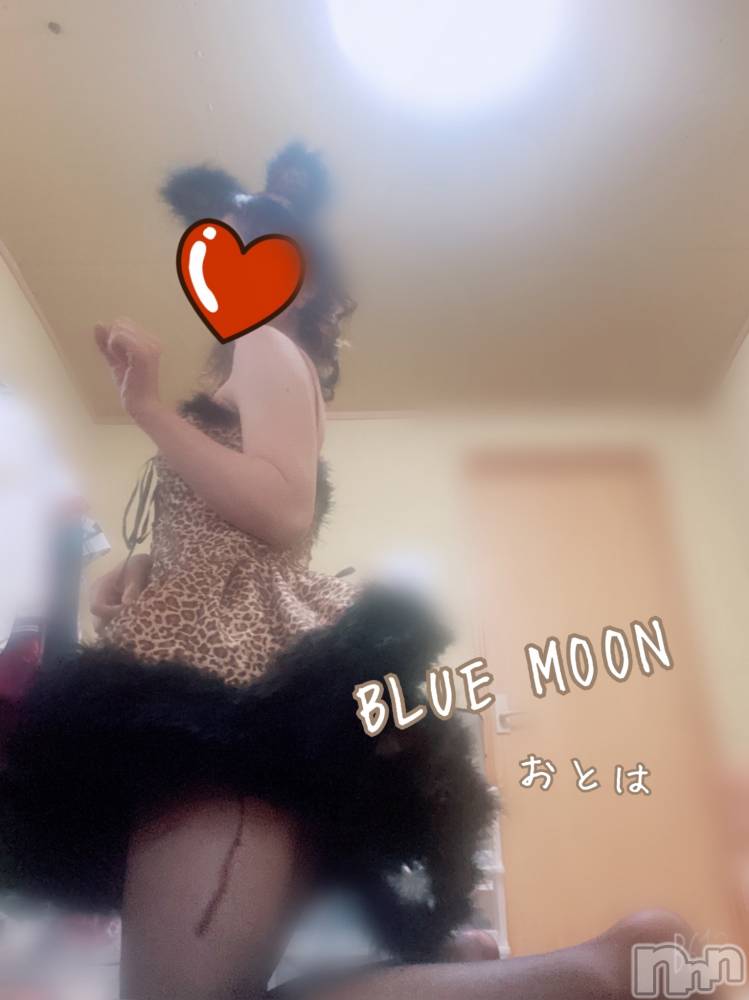 三条デリヘルコスプレ専門店　BLUE MOON(ブルームーン) ふわふわ系美少女＃おとは(22)の2月24日写メブログ「今からブログ読んでくれたお兄様限定千円引きです❤️」