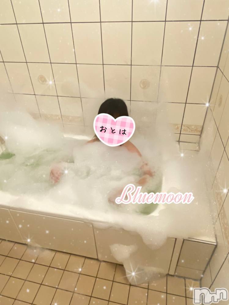 三条デリヘルコスプレ専門店　BLUE MOON(ブルームーン) ふわふわ系美少女＃おとは(23)の4月1日写メブログ「嘘じゃないよ【必読⠀】」