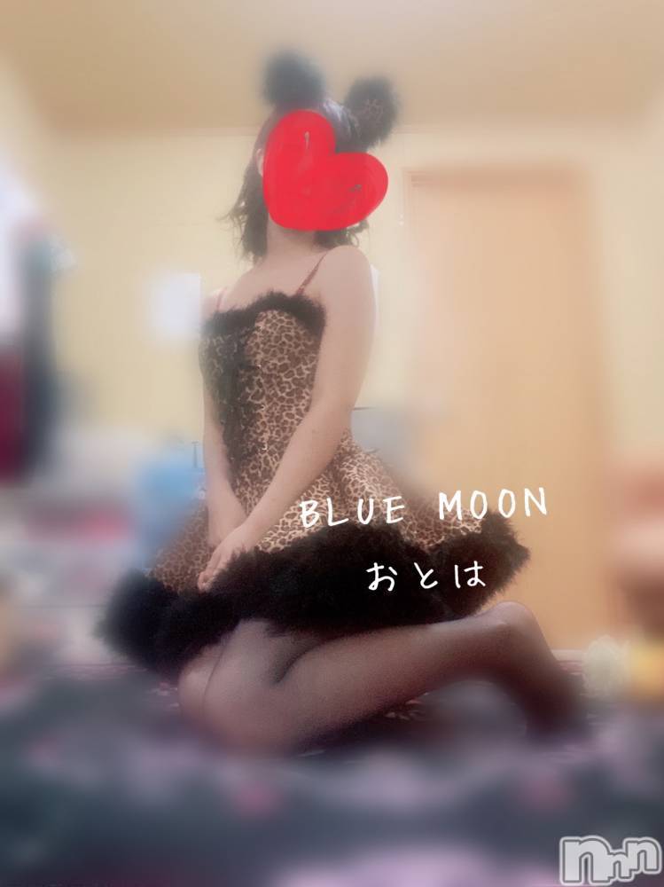 三条デリヘルコスプレ専門店　BLUE MOON(ブルームーン) ふわふわ系美少女＃おとは(23)の4月8日写メブログ「明日はあさわり♡」
