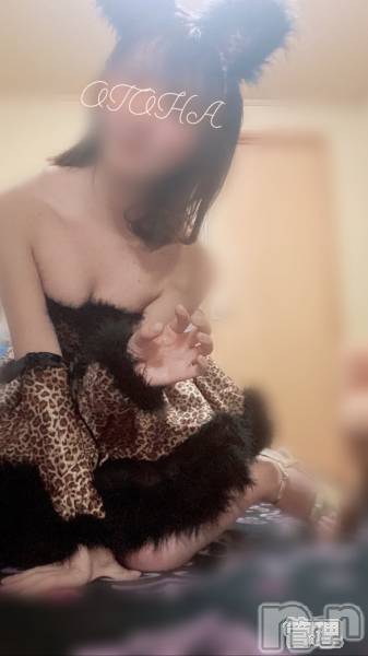 三条デリヘルコスプレ専門店　BLUE MOON(ブルームーン) ふわふわ系美少女＃おとは(23)の5月19日写メブログ「本日もお得ですよ～♪」