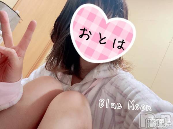 三条デリヘルコスプレ専門店　BLUE MOON(ブルームーン) ふわふわ系美少女＃おとは(23)の6月1日写メブログ「御礼ですっ」