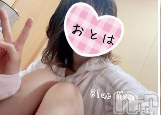 三条デリヘルコスプレ専門店　BLUE MOON(ブルームーン) ふわふわ系美少女＃おとは(23)の11月4日写メブログ「限定クーポンあります❣️」