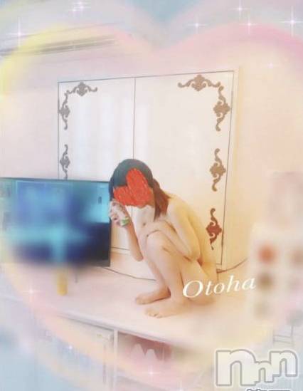 三条デリヘルコスプレ専門店　BLUE MOON(ブルームーン) ふわふわ系美少女＃おとは(23)の11月9日写メブログ「空きました❣️」