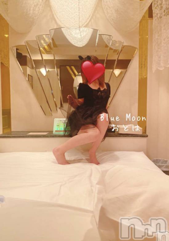 三条デリヘルコスプレ専門店　BLUE MOON(ブルームーン) ふわふわ系美少女＃おとは(23)の12月7日写メブログ「すぐお伺いできます♥️」