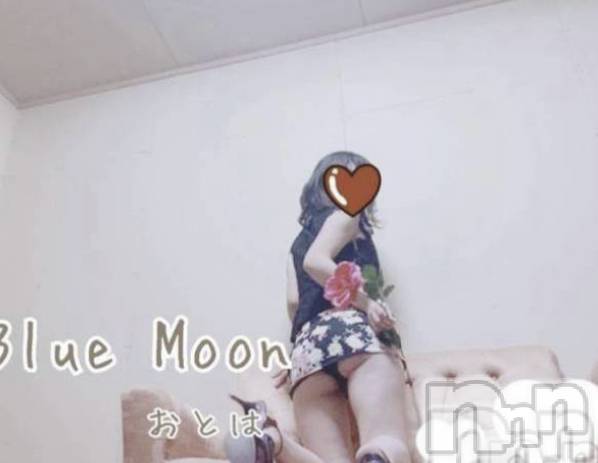三条デリヘルコスプレ専門店　BLUE MOON(ブルームーン) ふわふわ系美少女＃おとは(23)の12月8日写メブログ「空きました❣️」