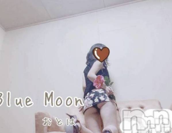 三条デリヘルコスプレ専門店　BLUE MOON(ブルームーン) ふわふわ系美少女＃おとは(22)の12月8日写メブログ「空きました❣️」