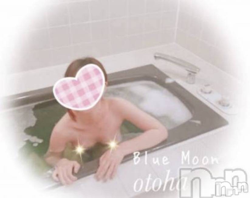 三条デリヘルコスプレ専門店　BLUE MOON(ブルームーン) ふわふわ系美少女＃おとは(22)の2月2日写メブログ「すぐお伺いできます♥️」