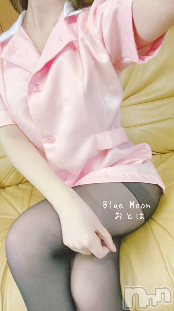三条デリヘルコスプレ専門店　BLUE MOON(ブルームーン) ふわふわ系美少女＃おとは(23)の2月15日写メブログ「朝活してます☀️」