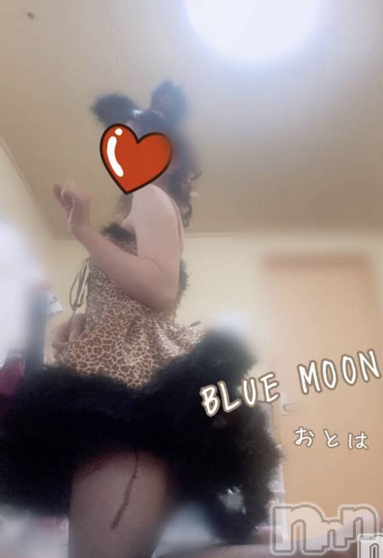 三条デリヘルコスプレ専門店　BLUE MOON(ブルームーン) ふわふわ系美少女＃おとは(22)の2月15日写メブログ「デリヘル？手こき？どっちがお好き？」