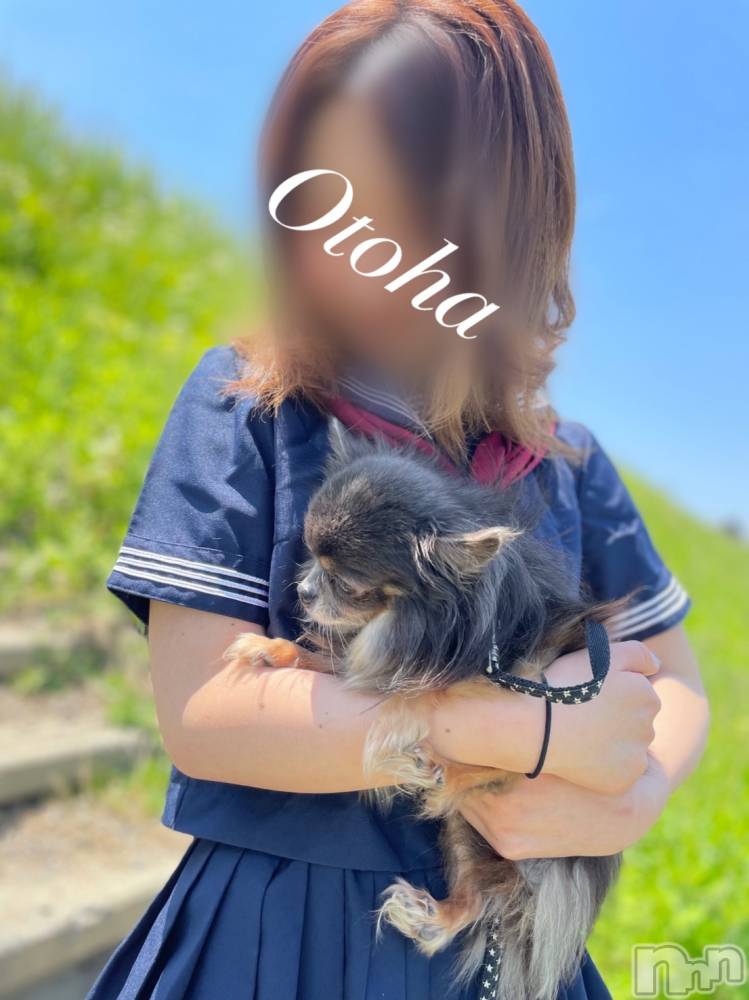 三条デリヘルコスプレ専門店　BLUE MOON(ブルームーン) ふわふわ系美少女＃おとは(23)の5月19日写メブログ「今日が最後です。」