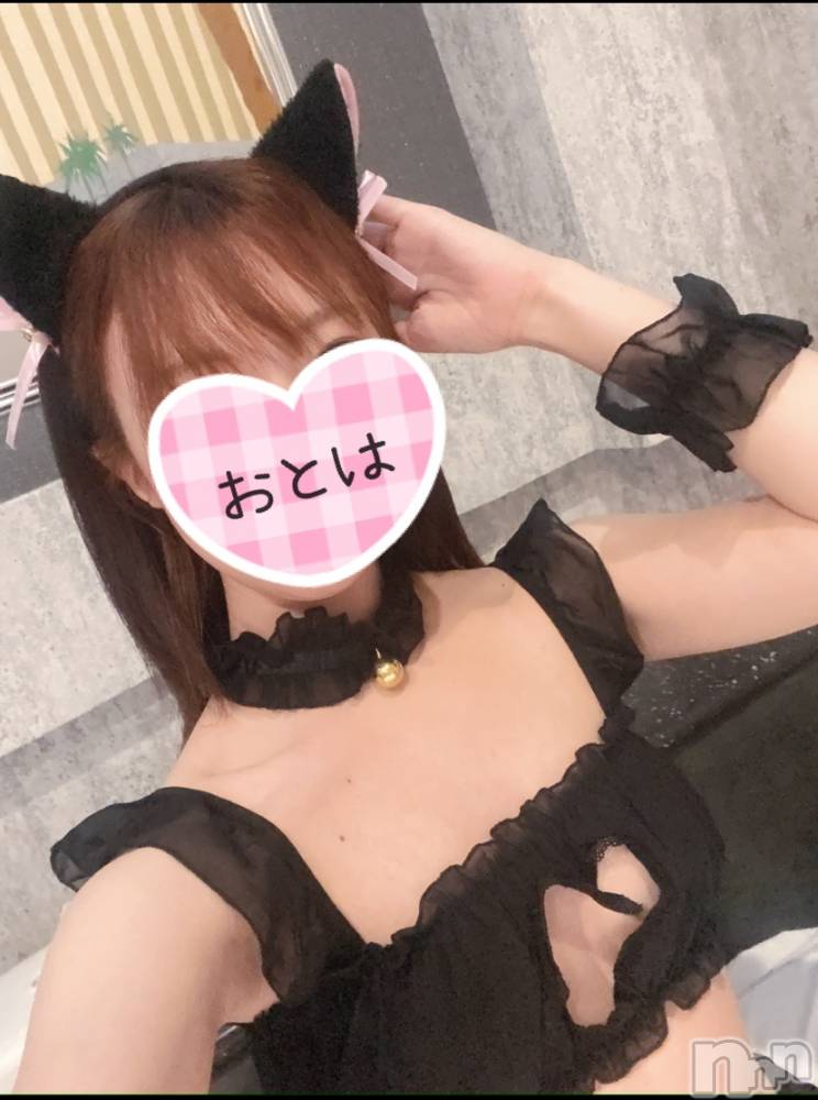 三条デリヘルコスプレ専門店　BLUE MOON(ブルームーン) ふわふわ系美少女＃おとは(23)の1月15日写メブログ「もう日本酒は飲みたくない🤢」