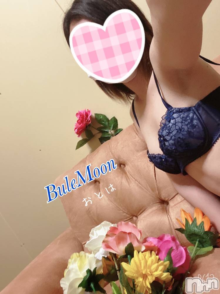 三条デリヘルコスプレ専門店　BLUE MOON(ブルームーン) ふわふわ系美少女＃おとは(23)の9月15日写メブログ「一撃っ★」