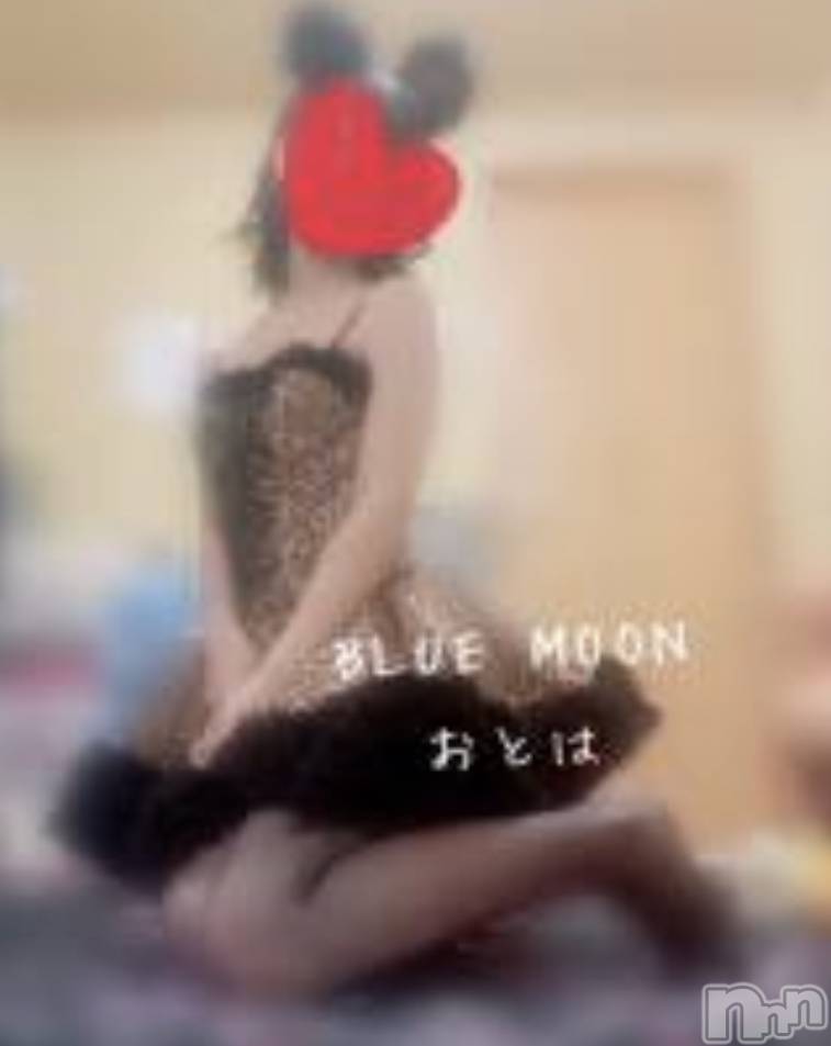 三条デリヘルコスプレ専門店　BLUE MOON(ブルームーン) ふわふわ系美少女＃おとは(23)の7月18日写メブログ「🚨緊急告知🚨」