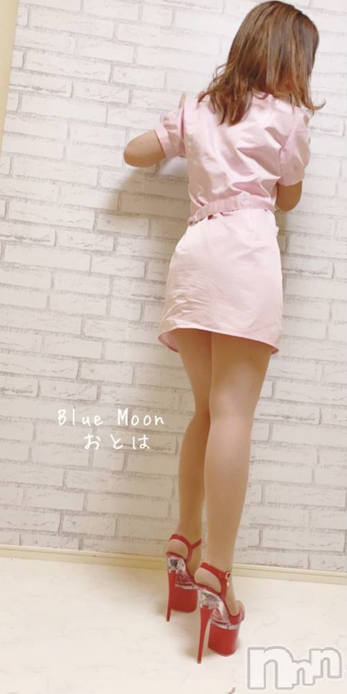 三条デリヘルコスプレ専門店　BLUE MOON(ブルームーン) ふわふわ系美少女＃おとは(23)の11月18日写メブログ「お誘いお待ちしてます💓」
