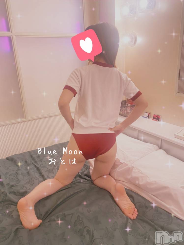 三条デリヘルコスプレ専門店　BLUE MOON(ブルームーン) ふわふわ系美少女＃おとは(23)の11月18日写メブログ「すぐご案内可能です♥️」