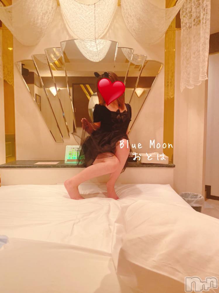 三条デリヘルコスプレ専門店　BLUE MOON(ブルームーン) ふわふわ系美少女＃おとは(23)の12月1日写メブログ「上がってなかった…」
