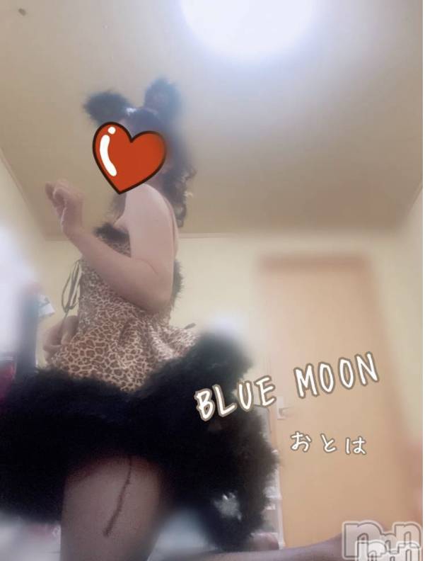 三条デリヘルコスプレ専門店　BLUE MOON(ブルームーン) ふわふわ系美少女＃おとは(22)の1月24日写メブログ「すぐお伺いできます♥️」