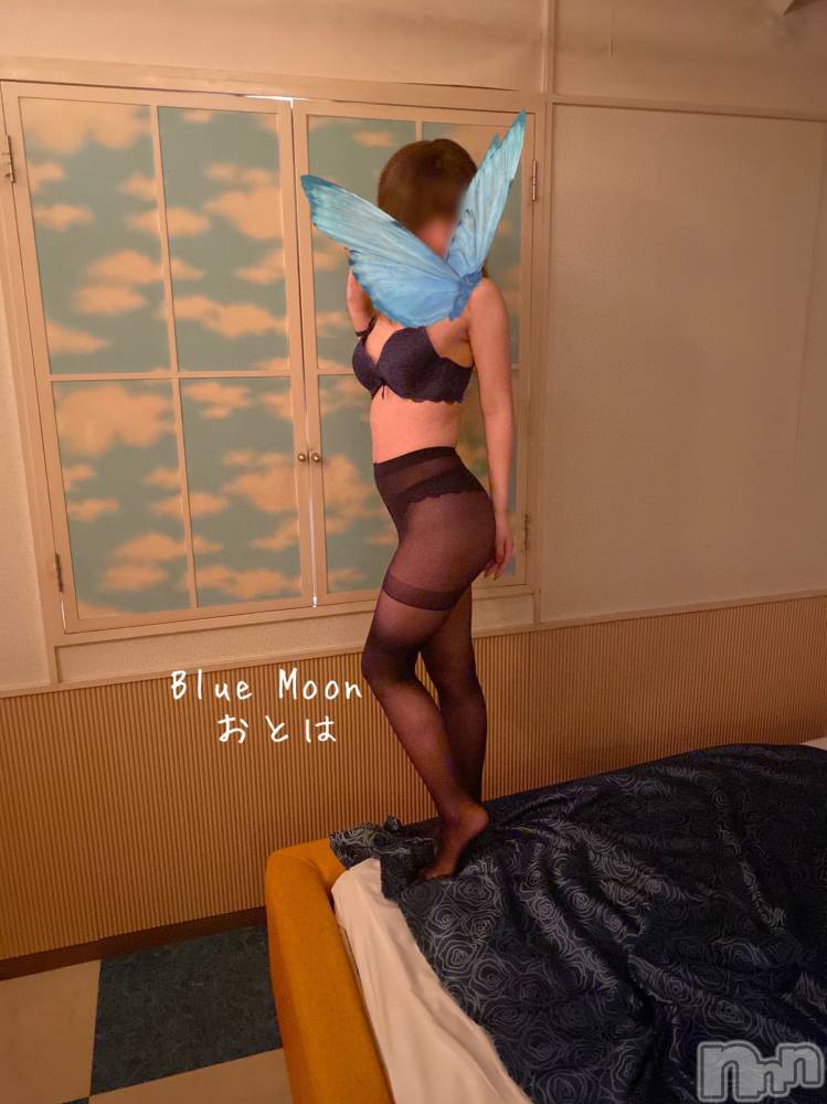 三条デリヘルコスプレ専門店　BLUE MOON(ブルームーン) ふわふわ系美少女＃おとは(23)の2月17日写メブログ「神対応は嬉しい💓」