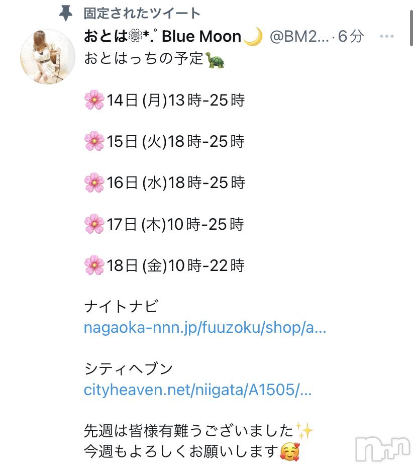 三条デリヘルコスプレ専門店　BLUE MOON(ブルームーン) ふわふわ系美少女＃おとは(23)の3月14日写メブログ「今週のおとはっち🐢」