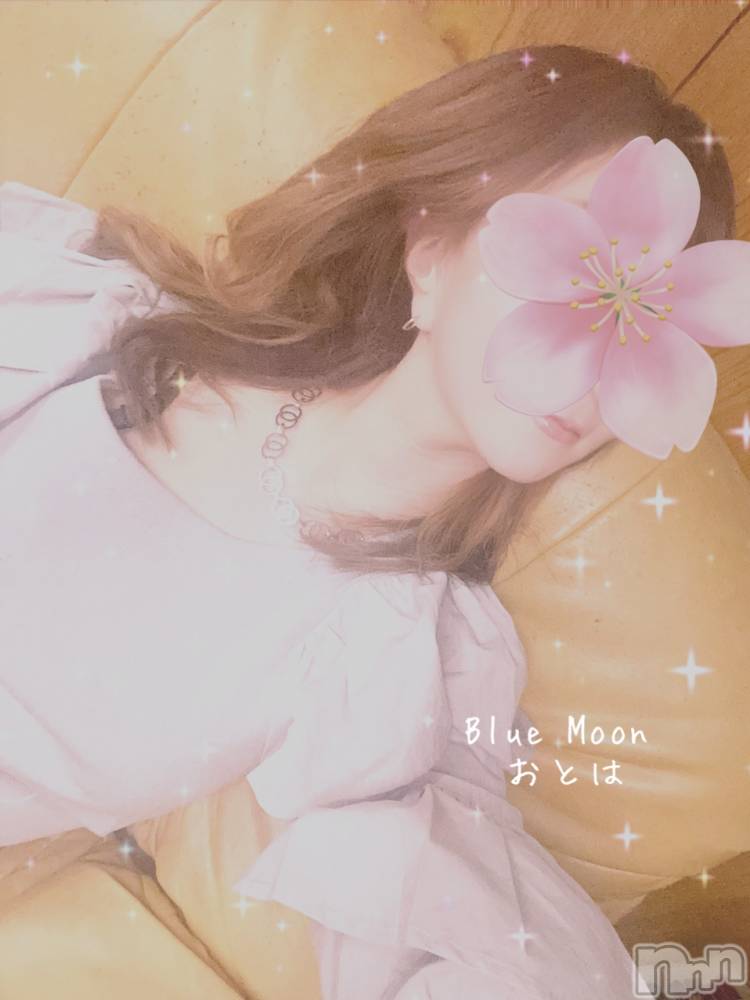 三条デリヘルコスプレ専門店　BLUE MOON(ブルームーン) ふわふわ系美少女＃おとは(23)の3月18日写メブログ「出勤時間24時までになました🙏と昨日の御礼です♥️」