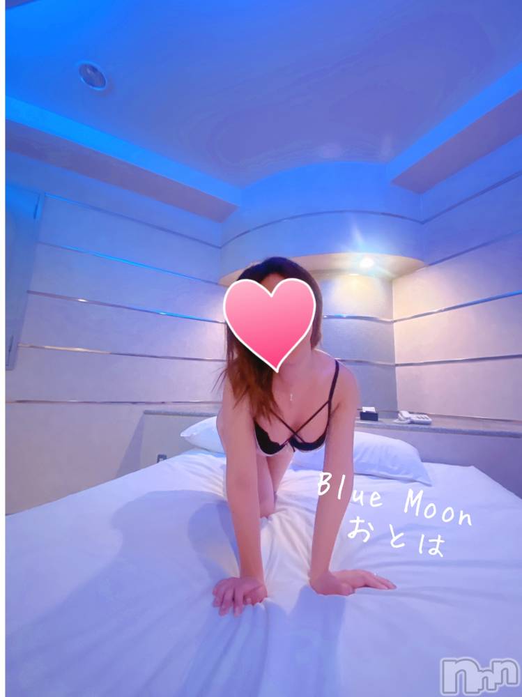 三条デリヘルコスプレ専門店　BLUE MOON(ブルームーン) ふわふわ系美少女＃おとは(23)の3月31日写メブログ「すぐ御案内可能です♥️」