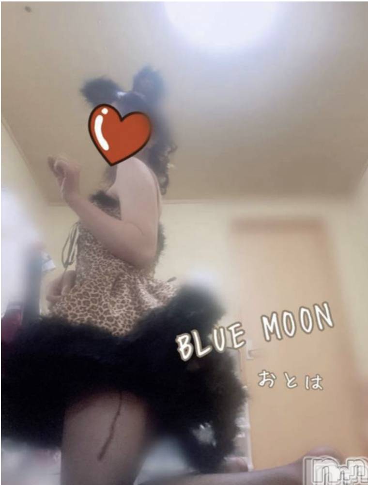 三条デリヘルコスプレ専門店　BLUE MOON(ブルームーン) ふわふわ系美少女＃おとは(22)の4月24日写メブログ「今日は30分だけ外に出てました」