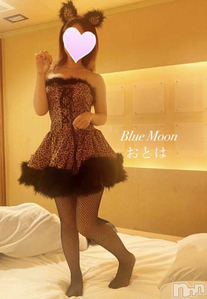 三条デリヘルコスプレ専門店　BLUE MOON(ブルームーン) ふわふわ系美少女＃おとは(23)の5月14日写メブログ「突然ですが本日22時半らいます‼️」