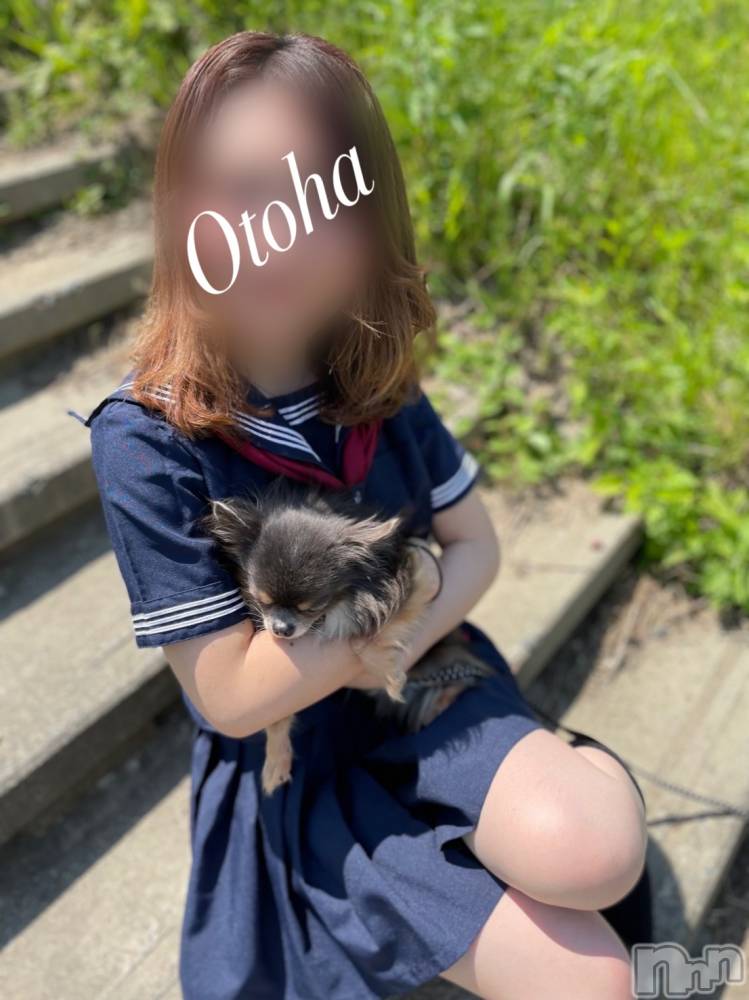 三条デリヘルコスプレ専門店　BLUE MOON(ブルームーン) ふわふわ系美少女＃おとは(23)の5月24日写メブログ「始まりました❣️」