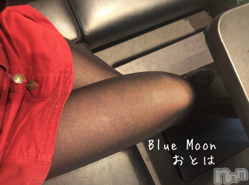 三条デリヘルコスプレ専門店　BLUE MOON(ブルームーン) ふわふわ系美少女＃おとは(23)の11月4日写メブログ「お誘いお待ちしてます♡」