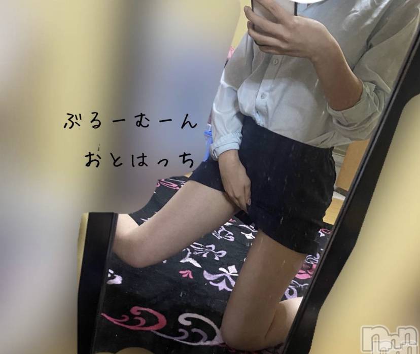 三条デリヘルコスプレ専門店　BLUE MOON(ブルームーン) ふわふわ系美少女＃おとは(23)の12月5日写メブログ「お電話お待ちしてます♡」