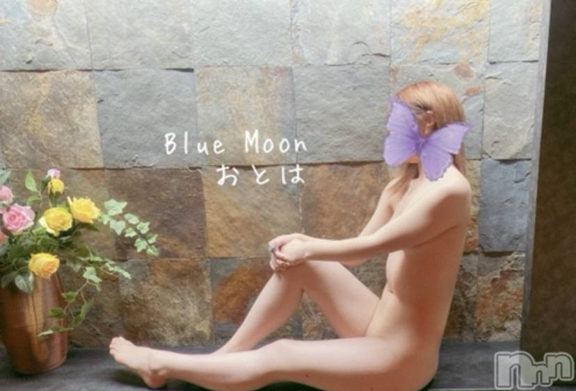 三条デリヘルコスプレ専門店　BLUE MOON(ブルームーン) ふわふわ系美少女＃おとは(22)の3月4日写メブログ「すぐお伺いできます♡」
