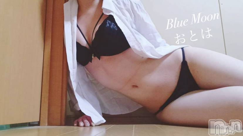 三条デリヘルコスプレ専門店　BLUE MOON(ブルームーン) ふわふわ系美少女＃おとは(22)の4月8日写メブログ「空きました💕」