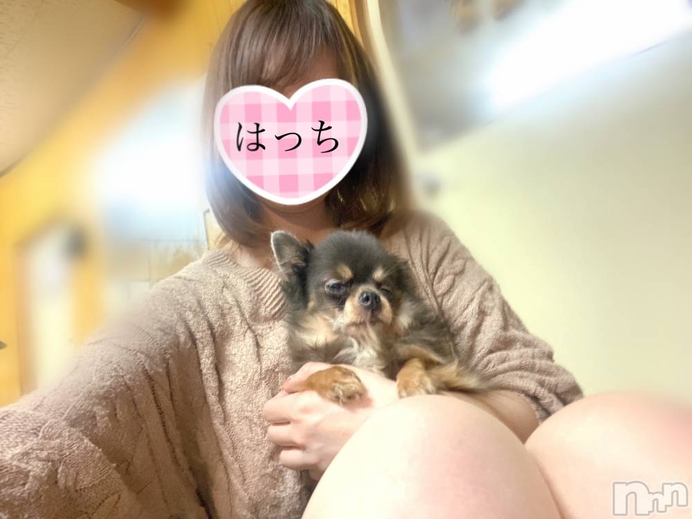 三条デリヘルコスプレ専門店　BLUE MOON(ブルームーン) ふわふわ系美少女＃おとは(23)の3月17日写メブログ「はっちさんラストご案内できます🥰」