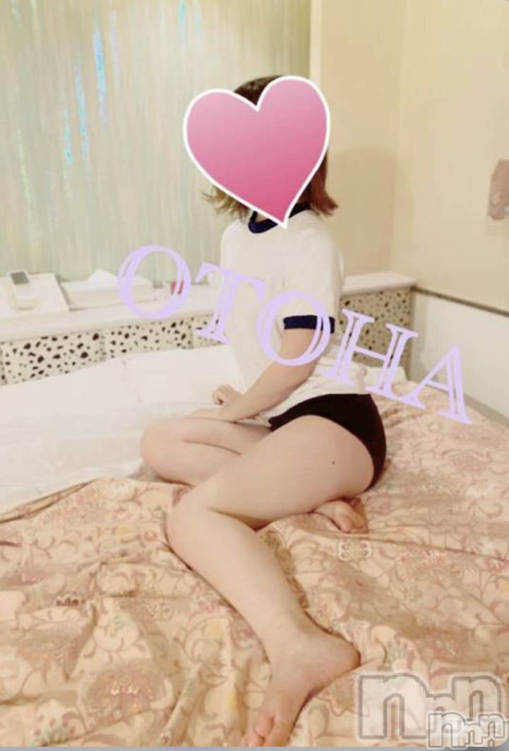 三条デリヘルコスプレ専門店　BLUE MOON(ブルームーン)ふわふわ系美少女＃おとは(23)の2020年11月10日写メブログ「すぐお伺いできます❤️」