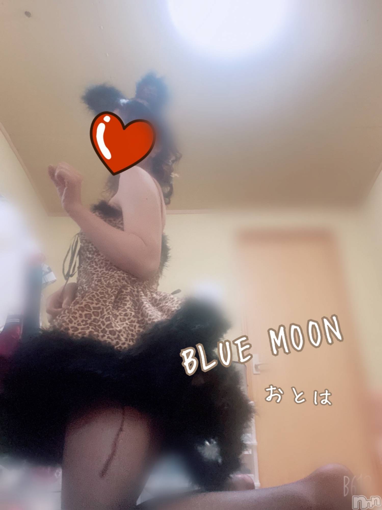 三条デリヘルコスプレ専門店　BLUE MOON(ブルームーン)ふわふわ系美少女＃おとは(22)の2021年2月24日写メブログ「今からブログ読んでくれたお兄様限定千円引きです❤️」